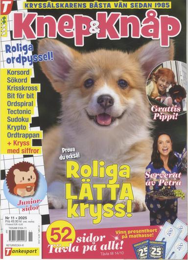 Knep & Knåp