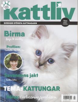 Kattliv