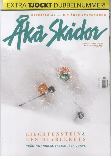 Åka Skidor