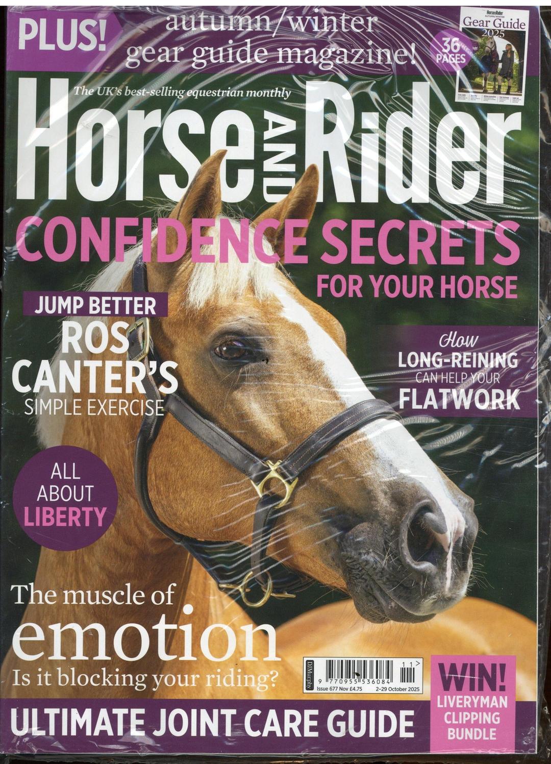Horse & Rider (Uk)