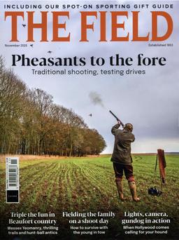 Field /The