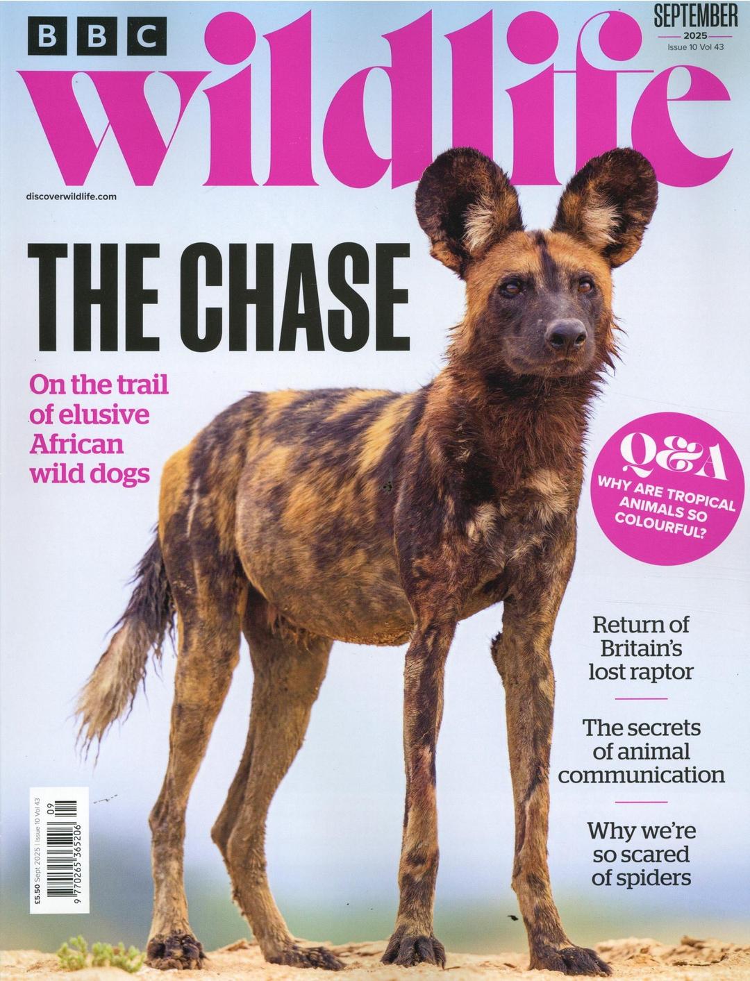 BBC Wildlife