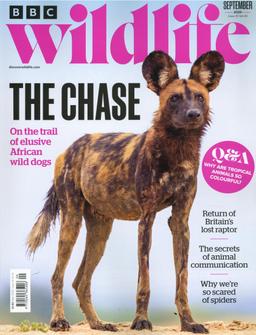 BBC Wildlife