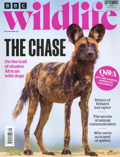 BBC Wildlife