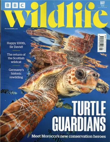 BBC Wildlife