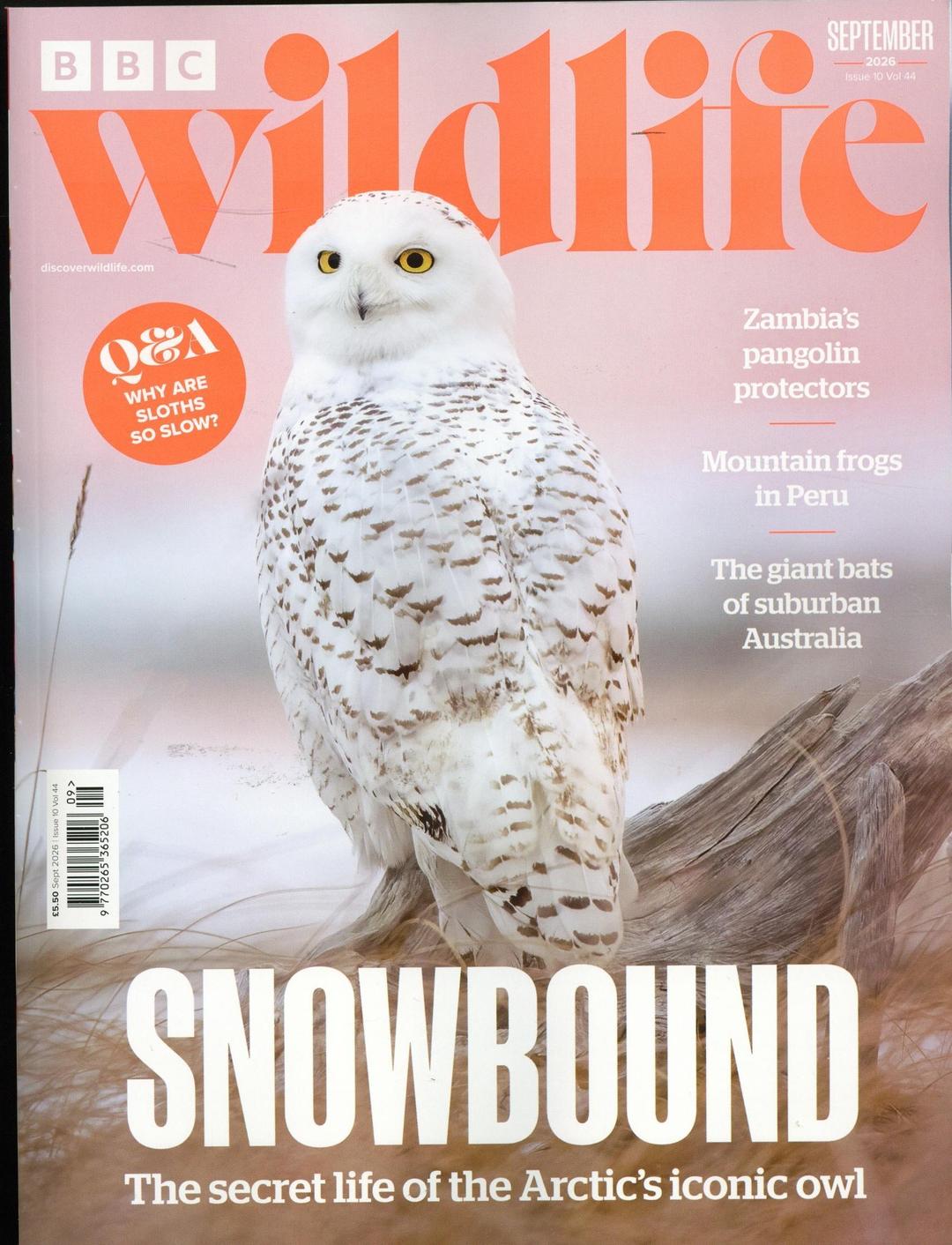 BBC Wildlife