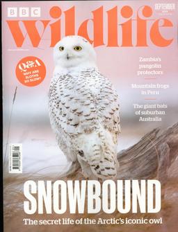BBC Wildlife