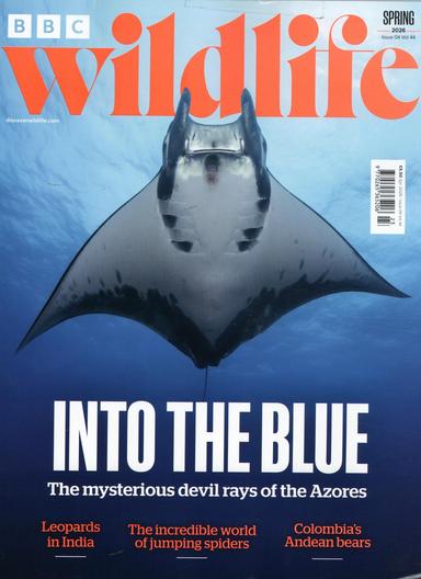 BBC Wildlife