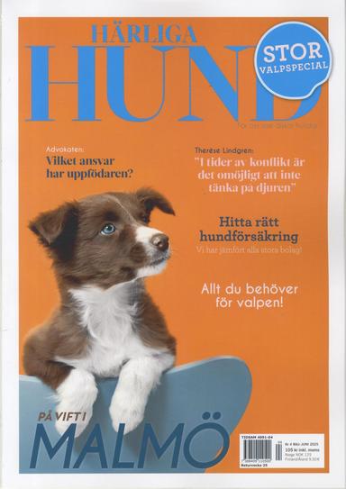 Härliga Hund