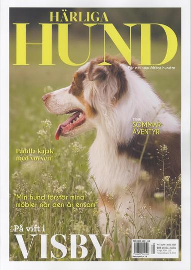 Härliga Hund