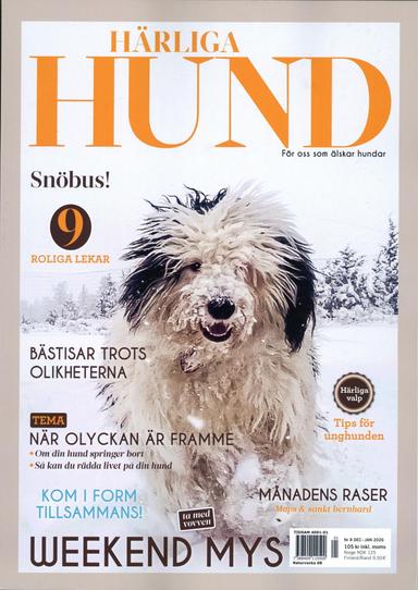 Härliga Hund