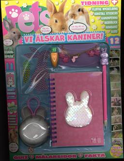 Aktivitetspåse