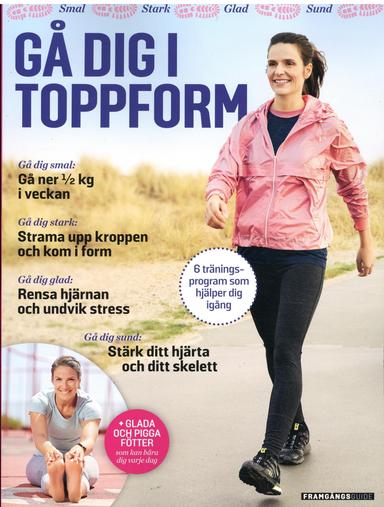 Framgångsguide I Form