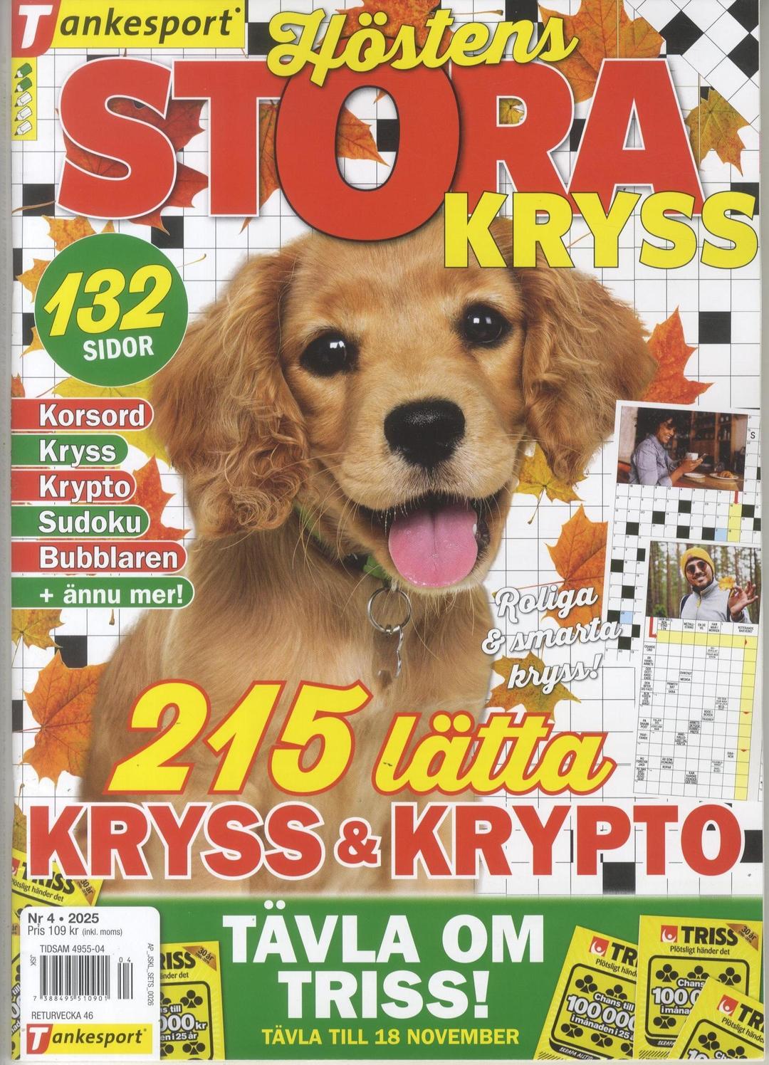 TS Stora Kryss