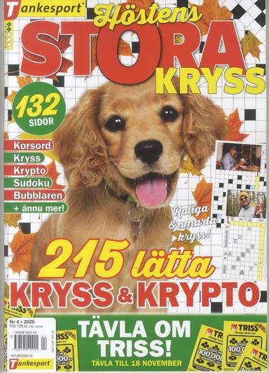 TS Stora Kryss
