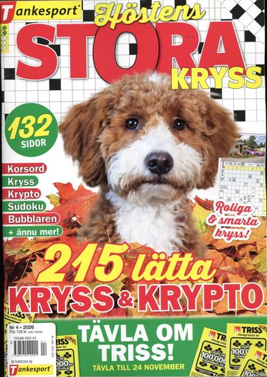 TS Stora Kryss