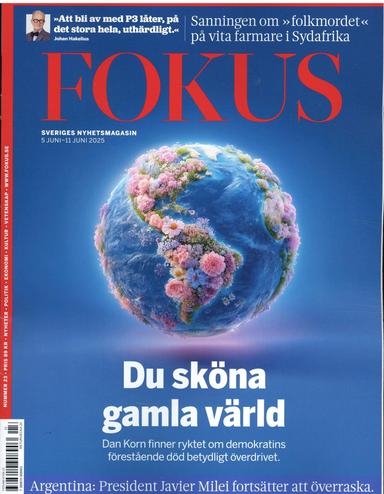 Fokus