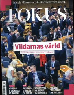 Fokus