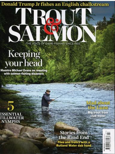 Trout And Salmon