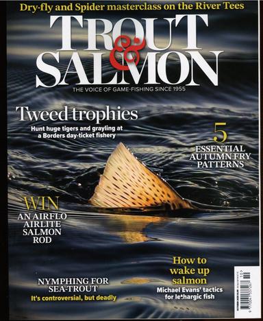 Trout And Salmon