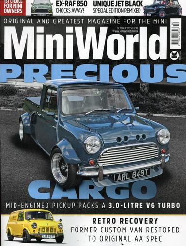 Mini World