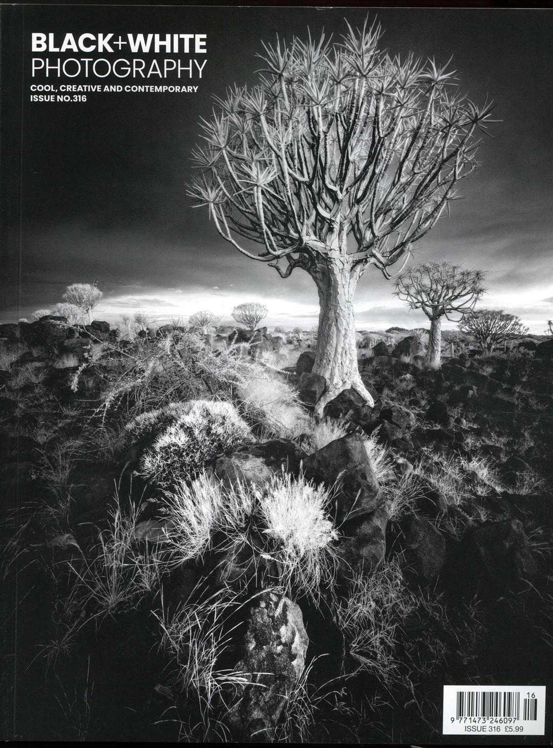 B and W Photography
