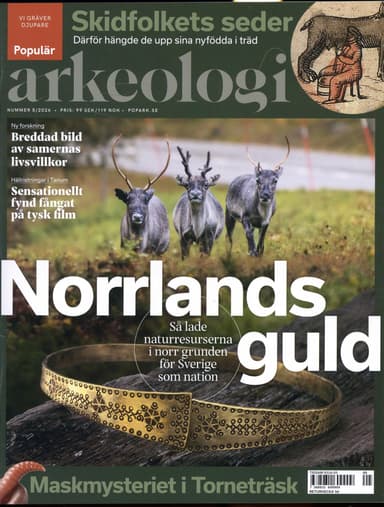 Populär Arkeologi