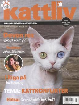 Kattliv