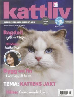 Kattliv