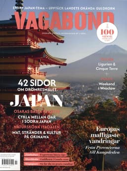Vagabond