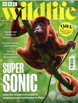 BBC Wildlife