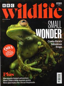 BBC Wildlife