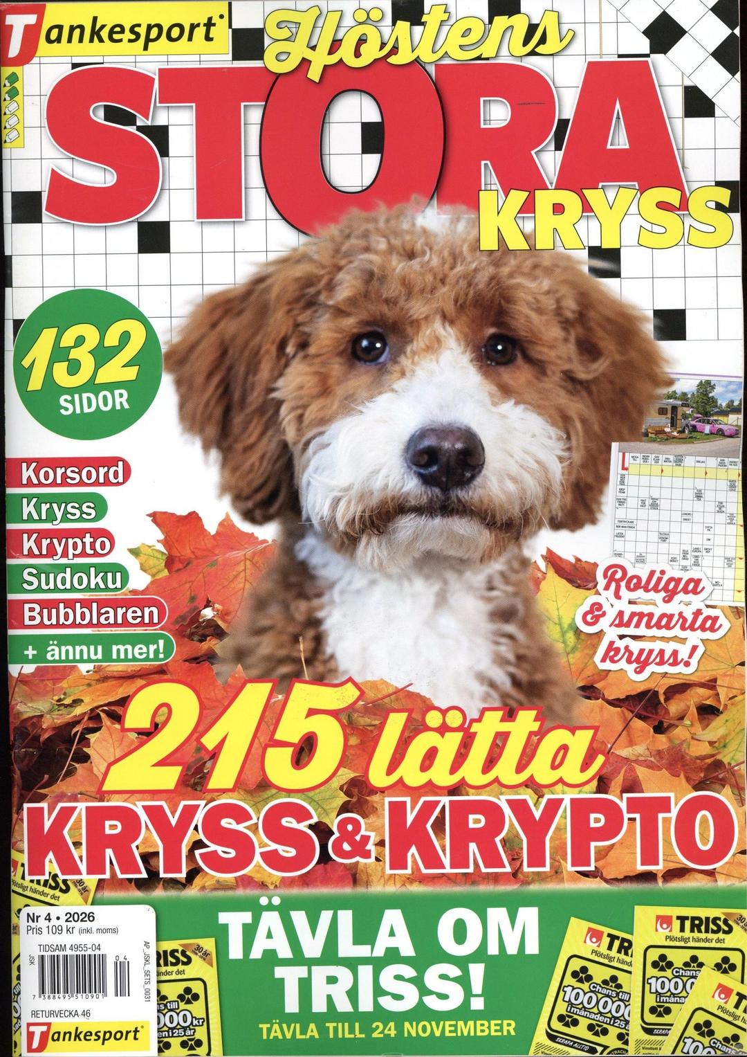 TS Stora Kryss
