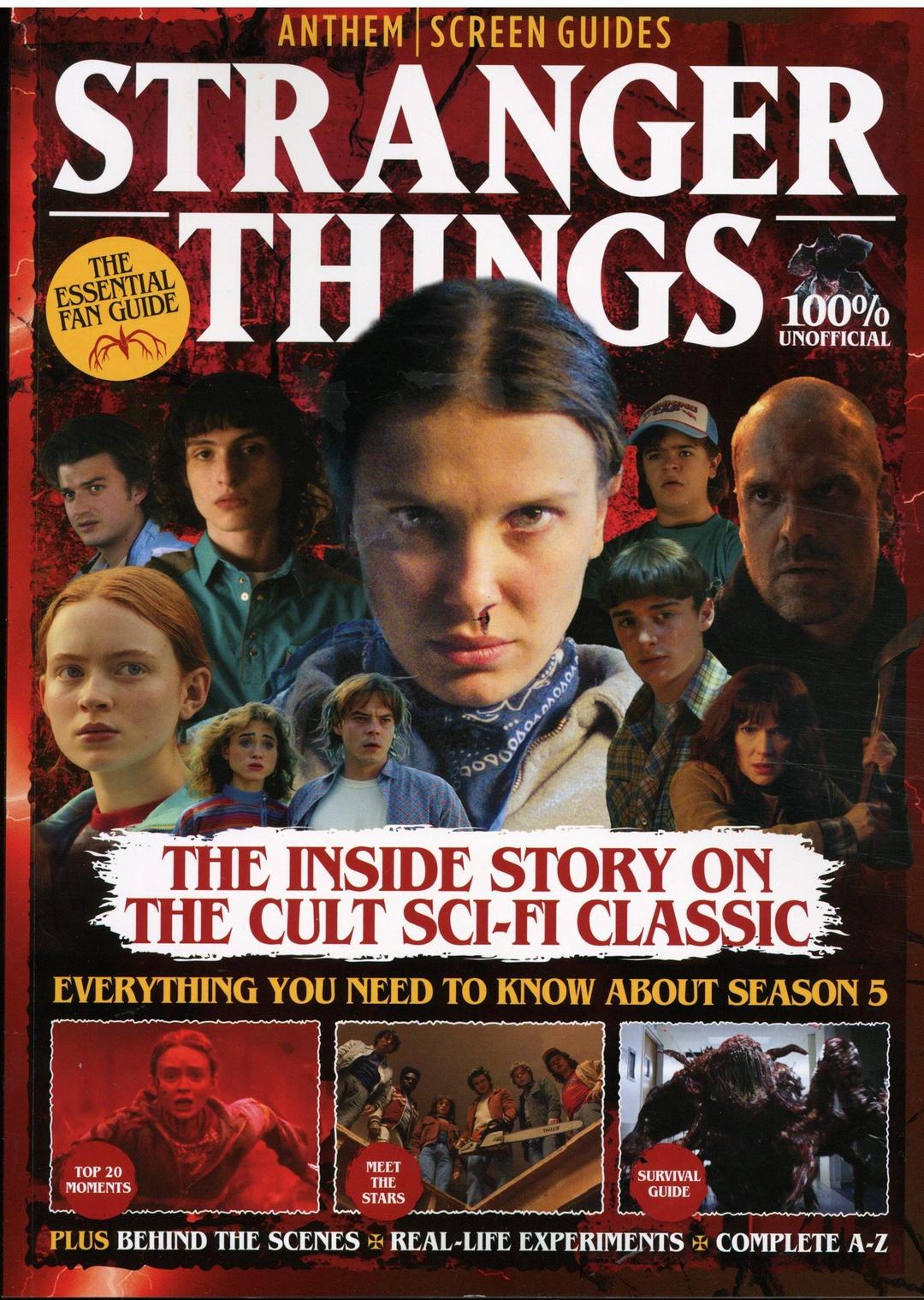 Stranger Things Screen